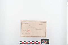 Etiketten zu Bronzehalbmondgehängefibel (NHMW-PRAE-024252)